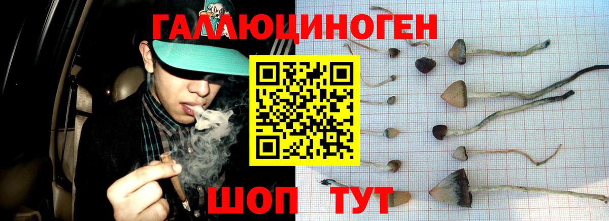 Лиски  Псилоцибиновые грибы Psilocybine cubensis  Вход с VPN 